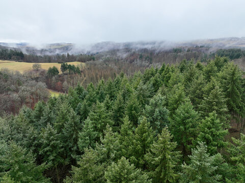 Aerial view of a dense forest stretching towards the horizon, where mist veils the distant hills in an ethereal embrace, Springen, Heidenrod, Germany.