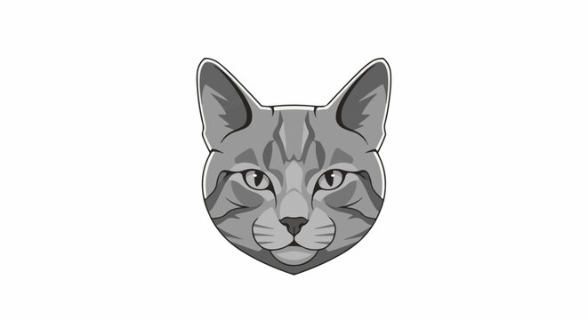 A grey tabby cat's face with piercing eyes and distinct markings