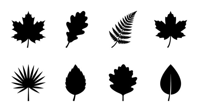 Black leaf silhouettes set of 8 vector icons, botanical foliage shapes including maple oak and fern, minimalist nature leaf elements for logo design
