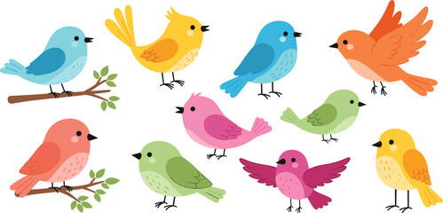 Obraz premium Cute colorful birds collection in simple flat cartoon style, adorable small bird characters set with bright colors isolated on white background