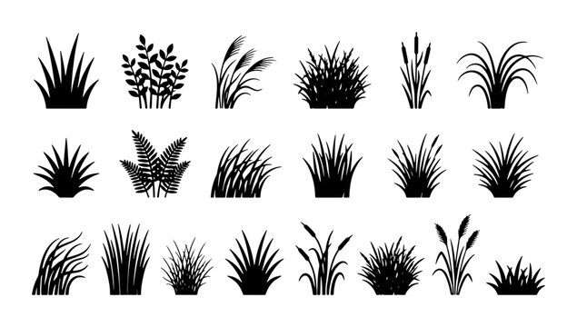 Black grass silhouette collection, 21 botanical plant icons, wild meadow weeds and field greenery vector set, garden landscape design elements