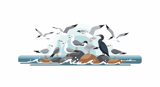 A flock of various seabirds including seagulls and a cormorant gather on rocky outcrops in blue water