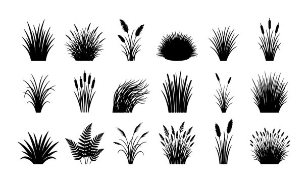 Black grass silhouette collection, 18 marsh plant and cattail vector icons, botanical reed and sedge elements for landscape design