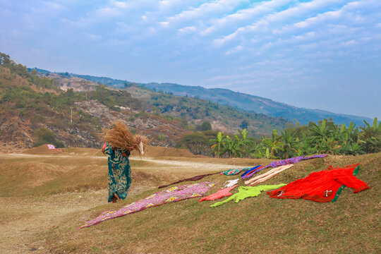 Sunamganj, Bangladesh - 26 January 2019: View of a woman carrying hay against a backdrop of rolling hills, with vibrant clothes drying on the sun-drenched ground.