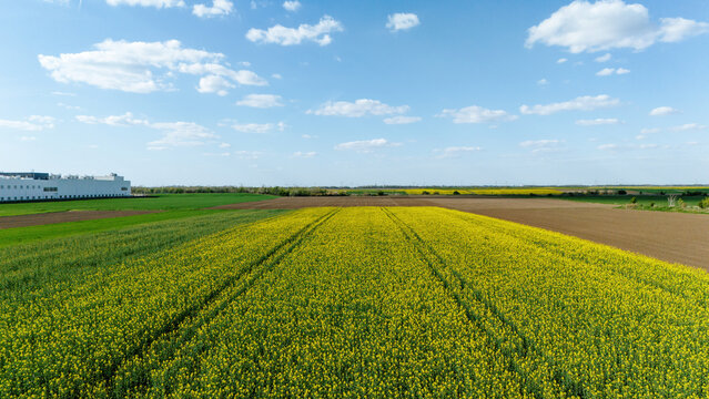 Aerial view of blooming yellow fields meeting green pastures under a vast blue sky, contrasting with a modern building on the horizon, Novi Sad, Vojvodina, Serbia.