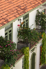 Fototapeta premium Casco viejo building with vibrant tile roof, green trim and balconies overflowing with bougainvillea and lush foliage, Panama - stock photo