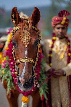 Indian groom standing beside horse during traditional baraat wedding procession, colorful festive decorations and bright daylight, cultural celebration atmosphere,