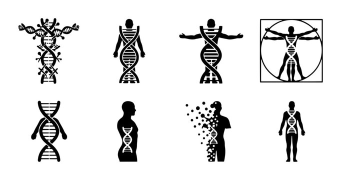 Human DNA helix icons set, genetic engineering and biotechnology symbols, 8 black vector silhouettes of genome structures and anatomy