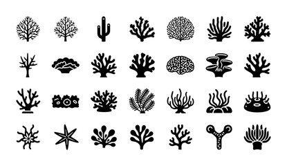 Coral reef icon set, 28 black silhouette underwater sea life vectors, aquatic plant and marine organism symbols for ocean conservation branding © Kamrul