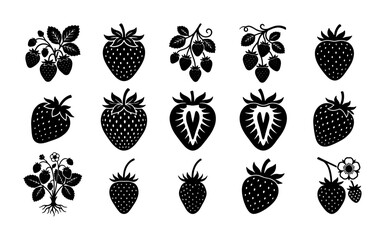 Vintage strawberry icon set, black silhouette garden berry collection, 15 vector fruit elements with leaves and blossoms for organic food branding © Lamiya