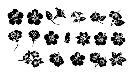 Tropical hibiscus flower silhouettes, set of 17 black botanical vector icons, exotic floral elements for summer branding and wedding invitations © Kamrul