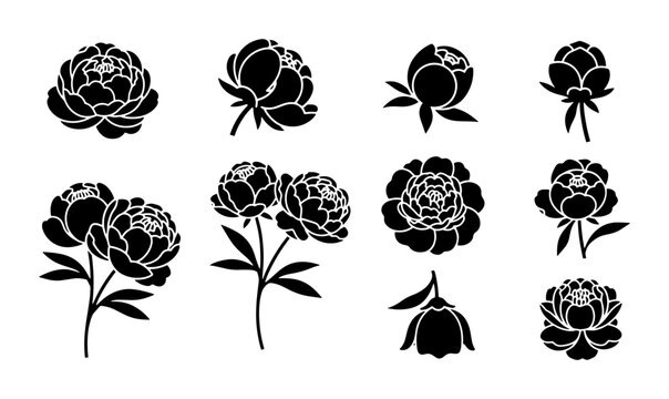 Black peony flower silhouettes, set of 10 floral vector icons, elegant botanical blossom illustrations for wedding invitations and logo design