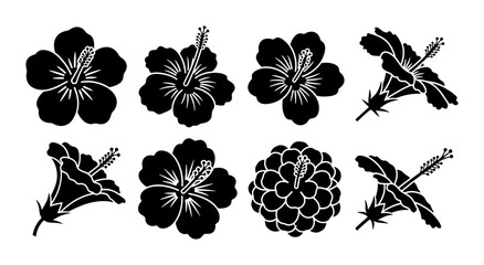 Hibiscus flower silhouettes set, 8 black tropical floral icons, exotic hawaiian blossom vector collection, botanical summer garden elements © Sumaiya