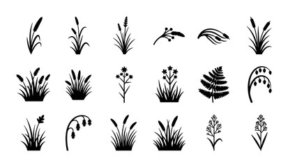 Minimalist black grass silhouettes, 18 botanical reed and wildflower icons, decorative meadow plant vector set for landscaping and nature design © Tanzila