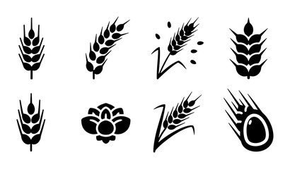 Minimalist wheat ear icons set, black cereal grain stalk silhouettes, organic agriculture symbols for bakery logo and farm branding, 8 vector elements © Mahir