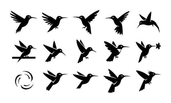 Minimalist hummingbird silhouette collection, set of 14 black bird icons in flight, tropical colibri vector graphics for logo design and branding