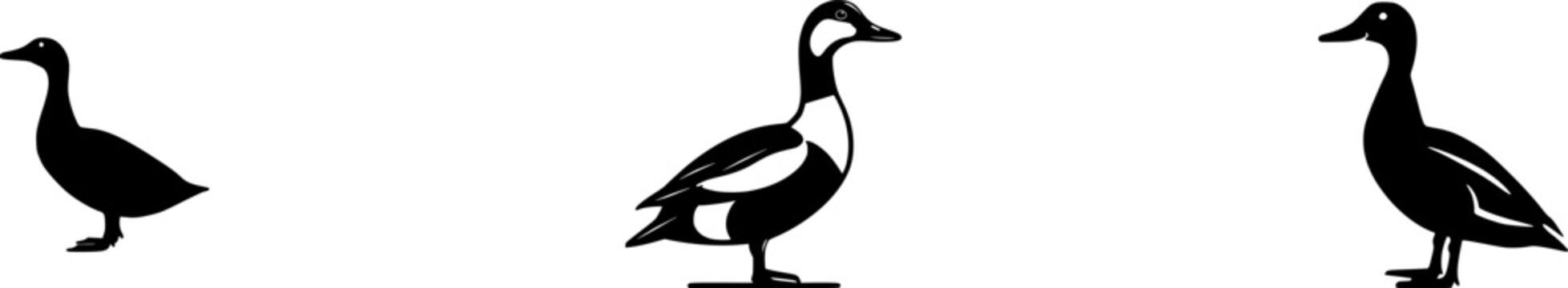 A meticulously captured image of an Indian Runner duck stands gracefully upright against a pristine white backdrop, highlighting its slender body and long neck in exquisite detail