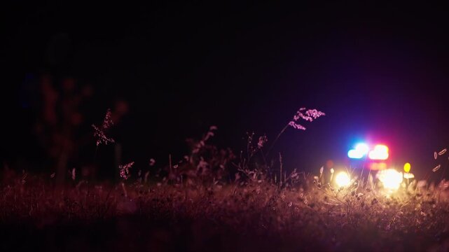 Police car with flashing emergency lights parked in dark field at night. Focus on grass and wildflowers in foreground while patrol vehicle remains in soft defocus background