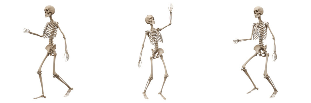Set and collection of single human skeleton dancing isolated on white background