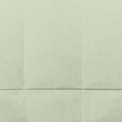 Fototapeta premium Textured pale green paper background