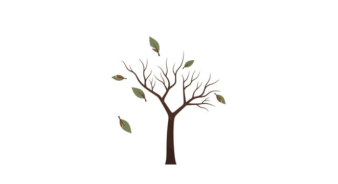 Bare Tree with Falling Leaves in Autumn Season.
