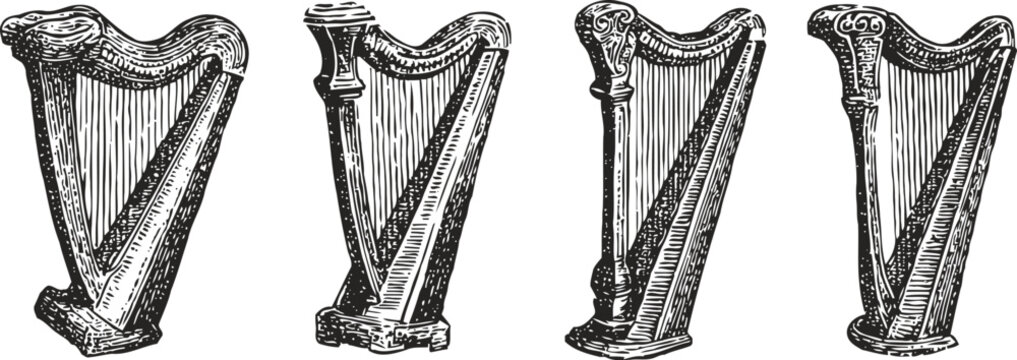 vintage hand drawn harp illustrations set classical musical instrument sketches in black and white elegant stringed instruments collection