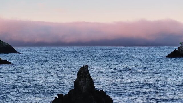 Aerial view of thick, heavy fog sitting off the coast of Albion, California
