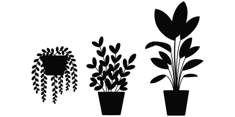 Potted plant silhouette illustration, hanging trailing and upright foliage artwork, indoor houseplant vector design, decorative nature drawing, black and white style © Tauhidul
