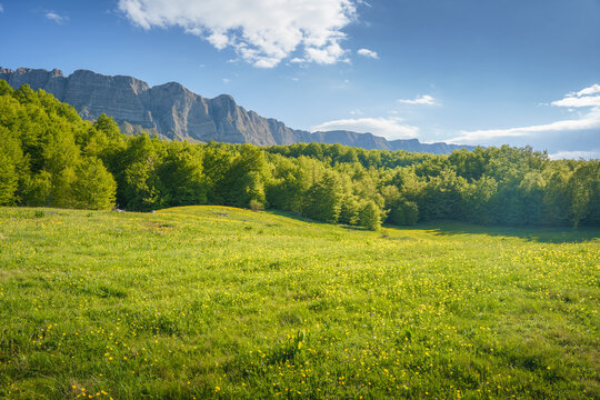 View of vibrant green meadows meet a dense forest, with the rugged Zelengora mountains rising in the background, Foca, Republika Srpska, Bosnia and Herzegovina.