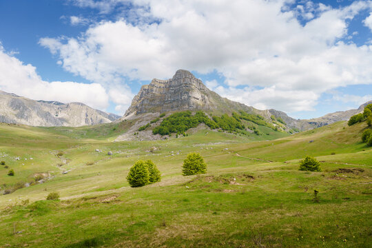 View of a majestic mountain peak rising above lush green meadows under a bright blue sky dotted with fluffy clouds, Foca, Republika Srpska, Bosnia and Herzegovina.