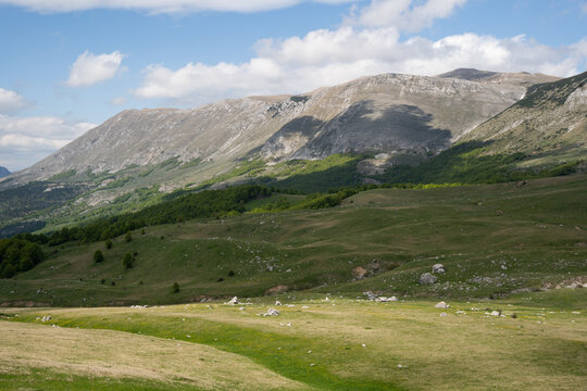 View of the rugged Zelengora mountains, where shadows dance across the slopes contrasting with the vibrant green meadows, Foca, Republika Srpska, Bosnia and Herzegovina.