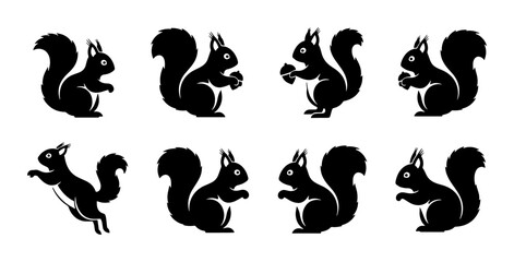 Squirrel silhouette vector set, 8 black squirrel icons in various poses, forest animal clip art collection for nature branding and logo design © Aminul