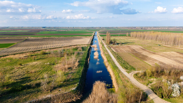 Aerial view of a canal slicing through a landscape of agricultural fields and bare trees, a tapestry of earthy browns and vibrant greens, Krcedin, Vojvodina, Serbia.