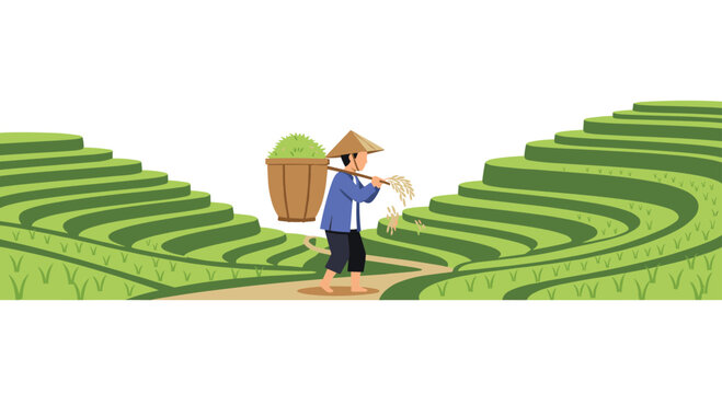 A hardworking farmer wearing a traditional conical hat carries a heavy basket of golden rice on a shoulder pole through lush green terraced paddy fields.