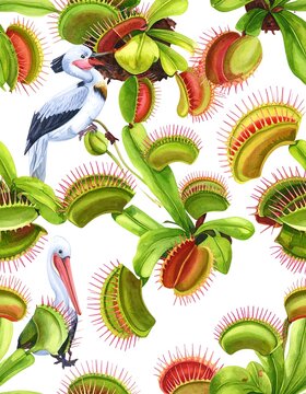 A whimsical illustration featuring a repeating pattern of Venus flytraps with vivid red insides, interspersed with images of pelicans