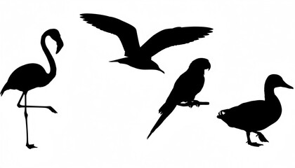 Obraz premium black silhouettes of four different birds on white background