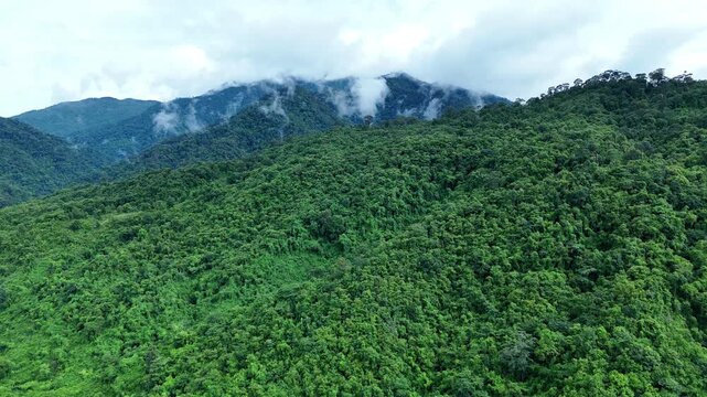 Aerial drone shot over primary Jungle tropical rain forest in Nan, Thailand. Aerial view, moving over a rainforest tree canopy in a slow pace beautiful green nature background of a tropical forest.	