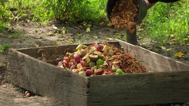Colorful Food Waste Compost Top View Eco Recycling Concept. Organic Compost with Fruits and Vegetables Sustainable Living Concept. Food Waste Decomposition Natural Composting Eco Lifestyle