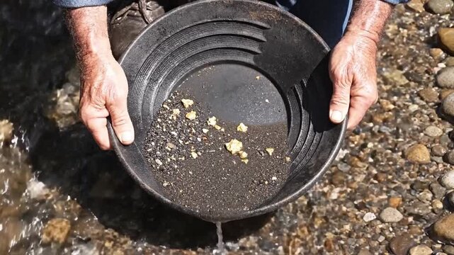 Old Miner Searching For Precious Metals. Aged Prospector Sifting For Shiny Gold Nuggets. Senior Miner Carefully Collects Shimmering Gold Flakes From Shallow Rocky Streams Under Bright Sunlight