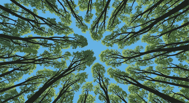 A stylized view from below looking up at a canopy of green trees against a bright blue sky