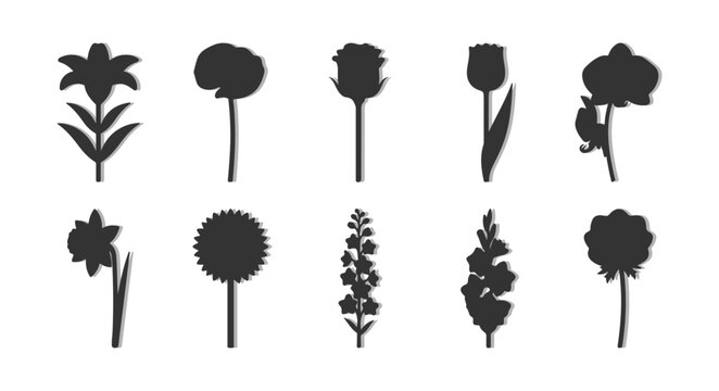 Garden Flower Silhouette Vector Set, Solid Black Botanical Figures for Landscape Site Analysis, Floral Stencil and Minimalist Graphic Design