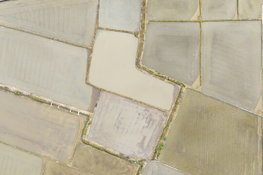 Aerial view of irrigated fields waiting for spring paddy cultivation with geometric flooded plots and earthy tones in Taoyuan, Taiwan.