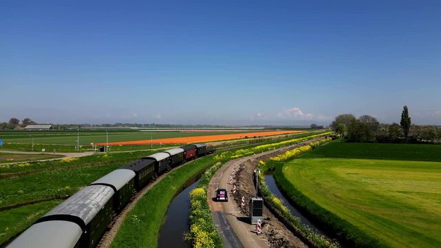 Cinematic drone view of a vintage tram crossing colourful tulip fields in spring. Scenic Dutch landscape with blooming flowers, rural charm, and vibrant patterns from above.