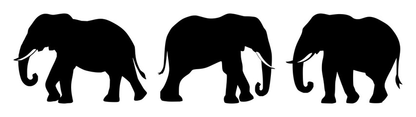Fototapeta premium Solid black icon, white background: wildlife conservation elephant set with simple line art design featuring sketches, drawings, vector graphics with minimalist and simple illustrations