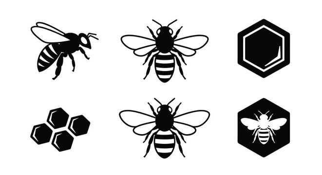 Stylized black and white illustrations of bees and honeycomb shapes