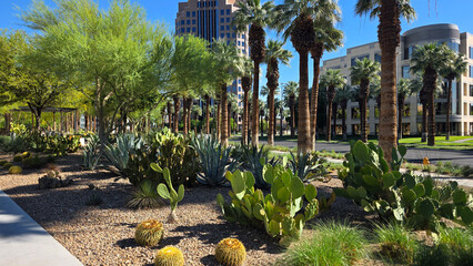 Desert Office Park with Palms and Cacti. Landscaped business district with palm trees, cactus garden, and modern office buildings in a sunny desert city setting. © Iryna