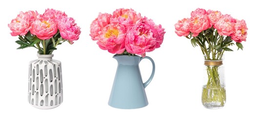 Obraz premium Vibrant peonies in decorative vases element set isolated on white