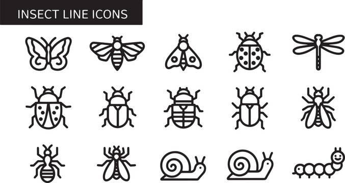 Insect line icons with various bugs.