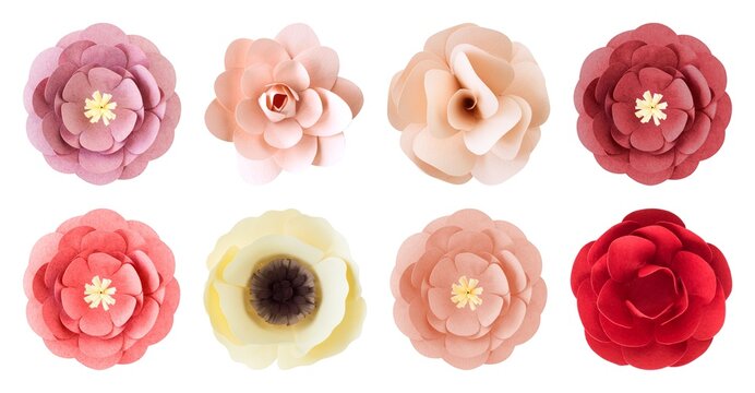 Colorful paper flowers collection