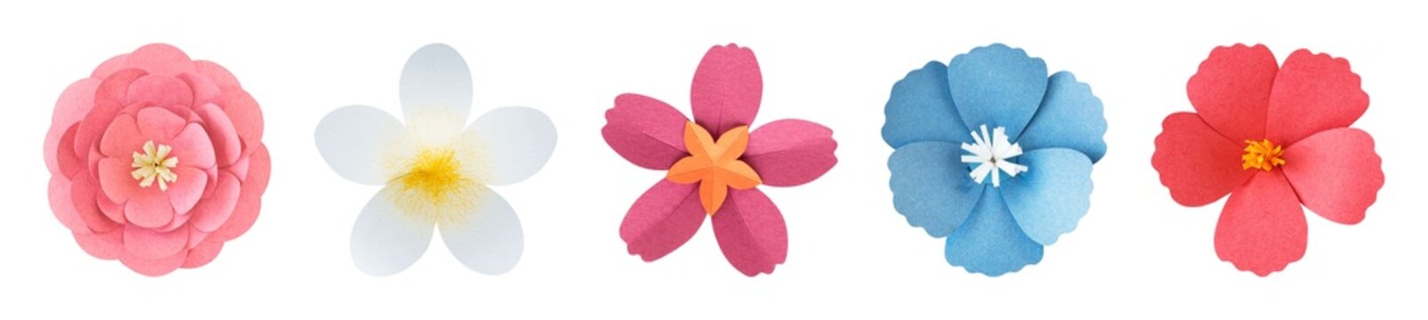 Colorful paper flowers arrangement element set